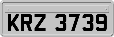 KRZ3739