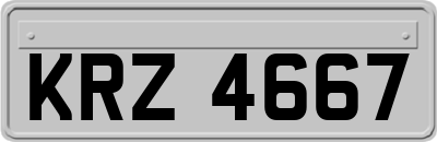 KRZ4667