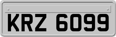 KRZ6099