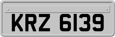 KRZ6139