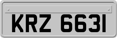 KRZ6631