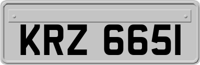 KRZ6651