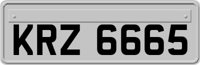KRZ6665