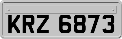 KRZ6873
