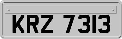 KRZ7313