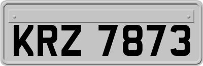 KRZ7873