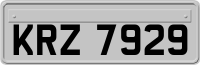 KRZ7929