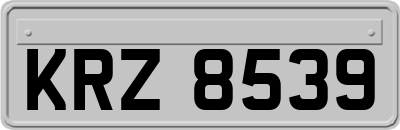 KRZ8539