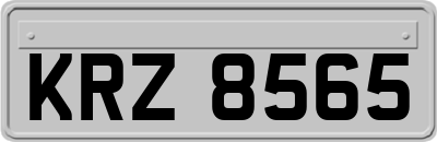 KRZ8565