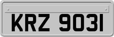 KRZ9031