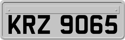 KRZ9065