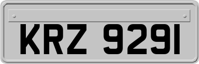 KRZ9291