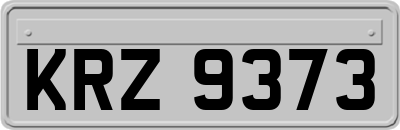 KRZ9373