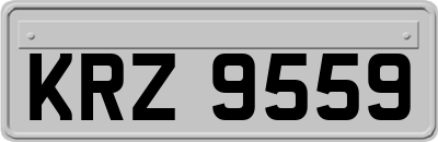 KRZ9559