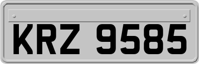 KRZ9585