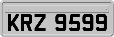 KRZ9599