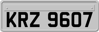 KRZ9607