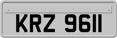 KRZ9611