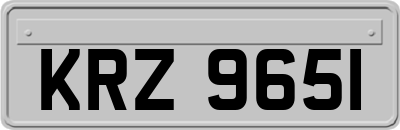 KRZ9651
