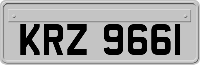 KRZ9661