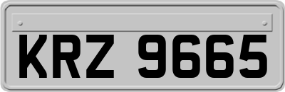 KRZ9665