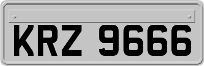 KRZ9666