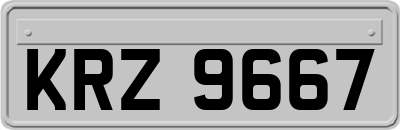 KRZ9667