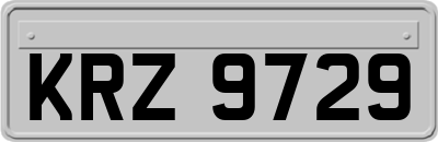 KRZ9729