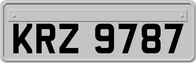 KRZ9787
