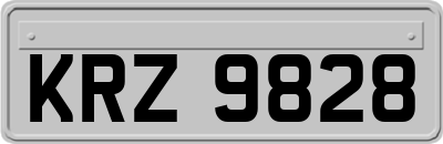 KRZ9828