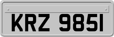 KRZ9851
