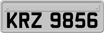 KRZ9856