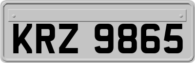 KRZ9865