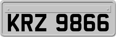 KRZ9866