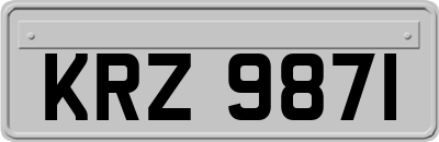 KRZ9871