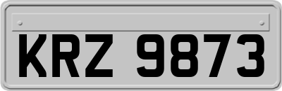 KRZ9873