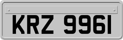 KRZ9961