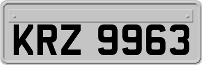 KRZ9963