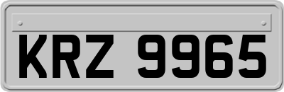 KRZ9965