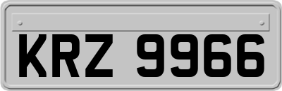 KRZ9966