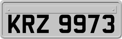 KRZ9973