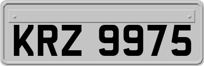 KRZ9975