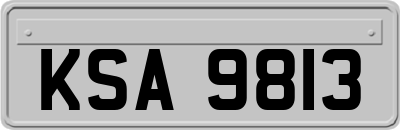 KSA9813