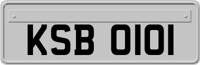KSB0101