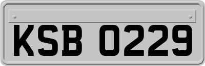 KSB0229