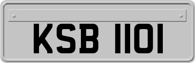 KSB1101