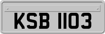 KSB1103