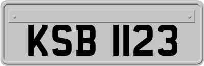 KSB1123