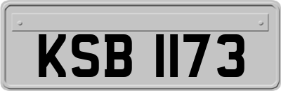 KSB1173