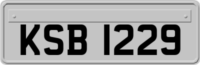 KSB1229